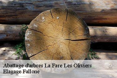 Abattage d'arbres  la-fare-les-oliviers-13580 Elagage Fallone