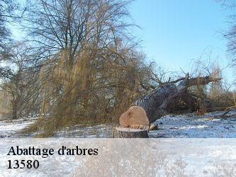 Abattage d'arbres  13580