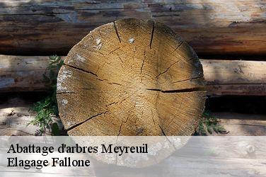 Abattage d'arbres  meyreuil-13590 Elagage Fallone