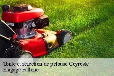 Tonte et refection de pelouse  ceyreste-13600 Elagage Fallone