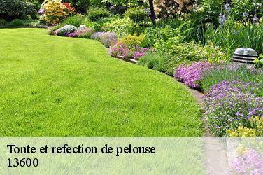 Tonte et refection de pelouse  13600