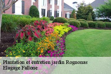 Plantation et entretien jardin  rognonas-13870 Elagage Fallone