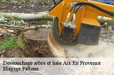 Aix en Provence : arrachage et destruction de souches
